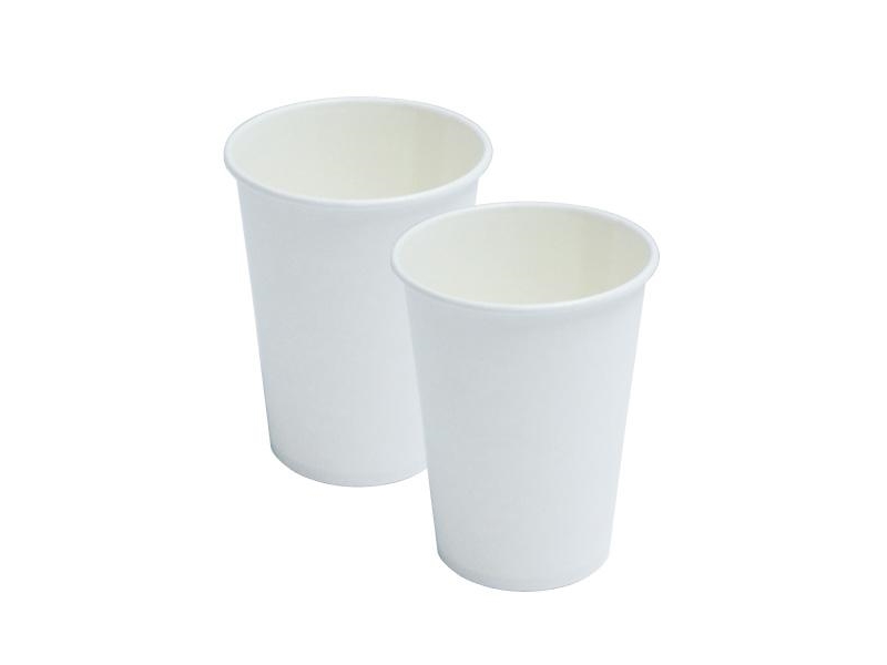 Paper White Cup